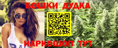 шишки Можга