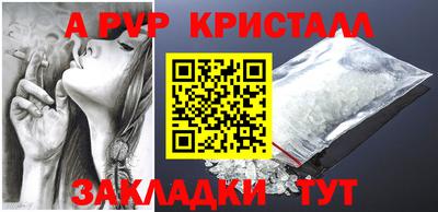 шишки Можга